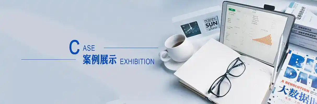 中市区软件开发